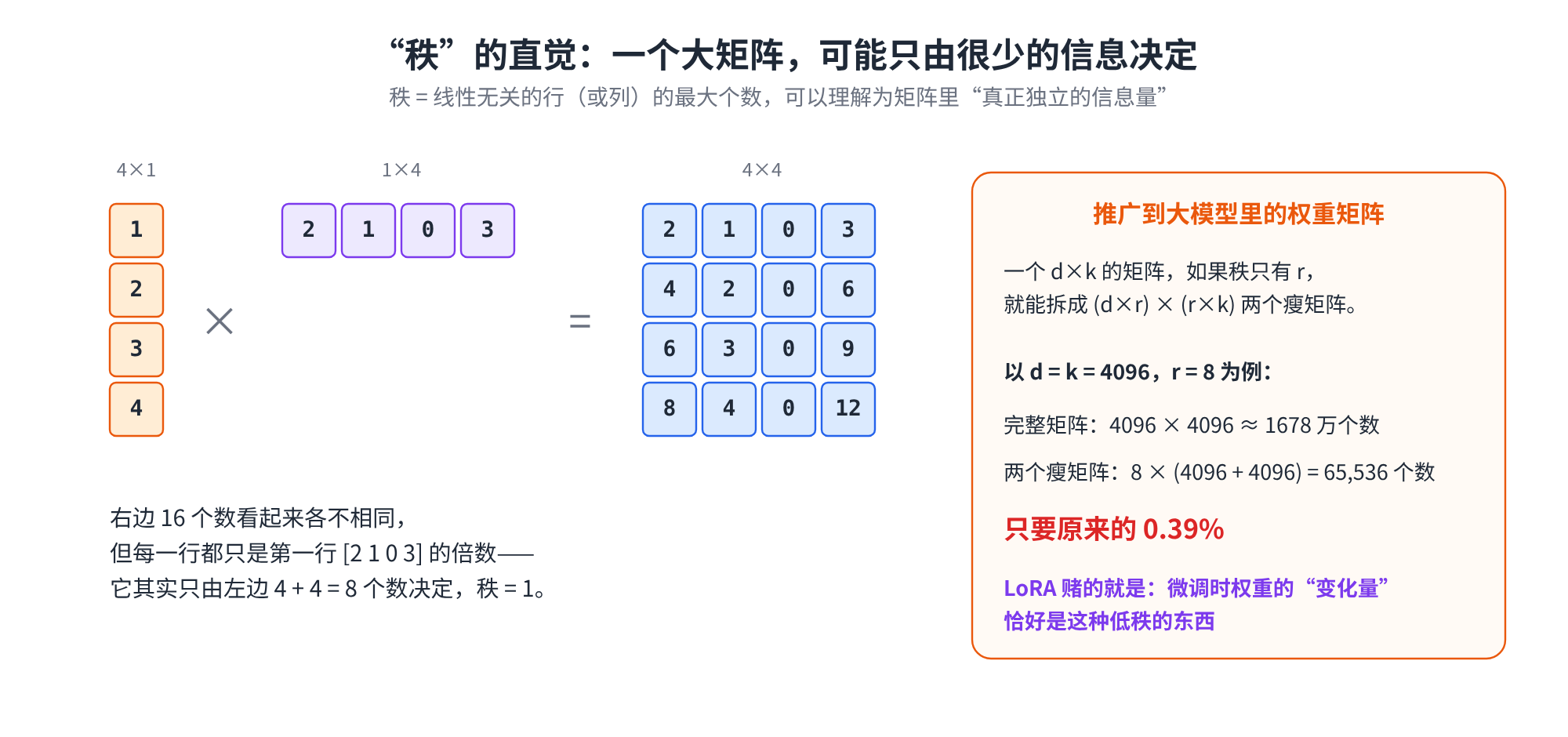 秩的直觉