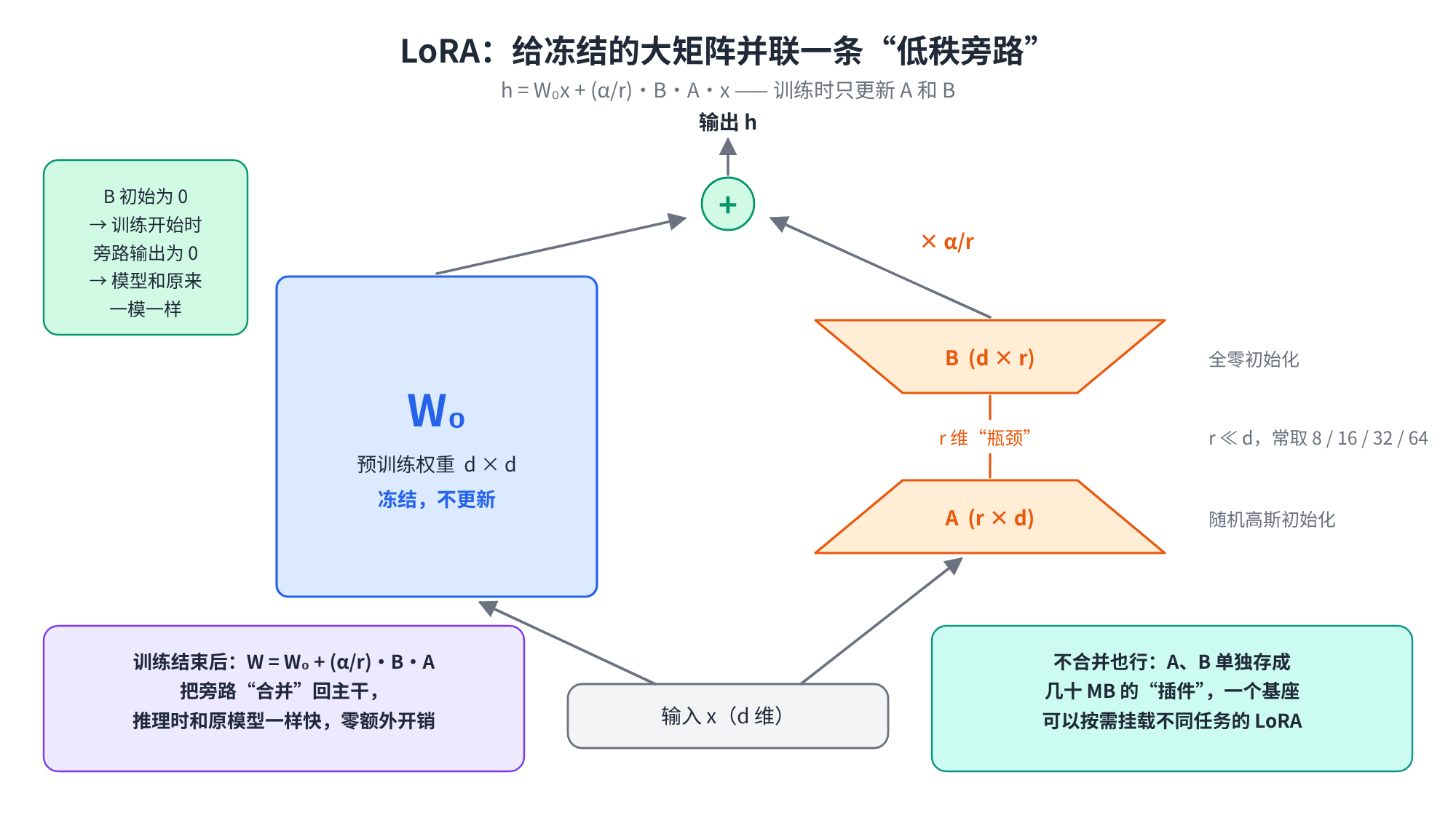 LoRA 结构